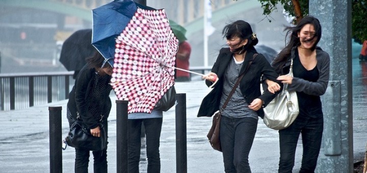 Dazd-vietor-tate-modern-NIgel-GOodman