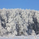 V Británii sa začne koncom týždňa studené počasie